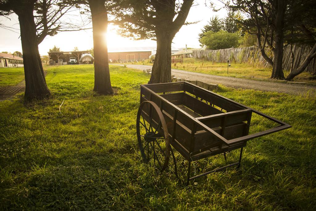 Estancia Rio De Los Ciervos Пунта-Аренас Экстерьер фото