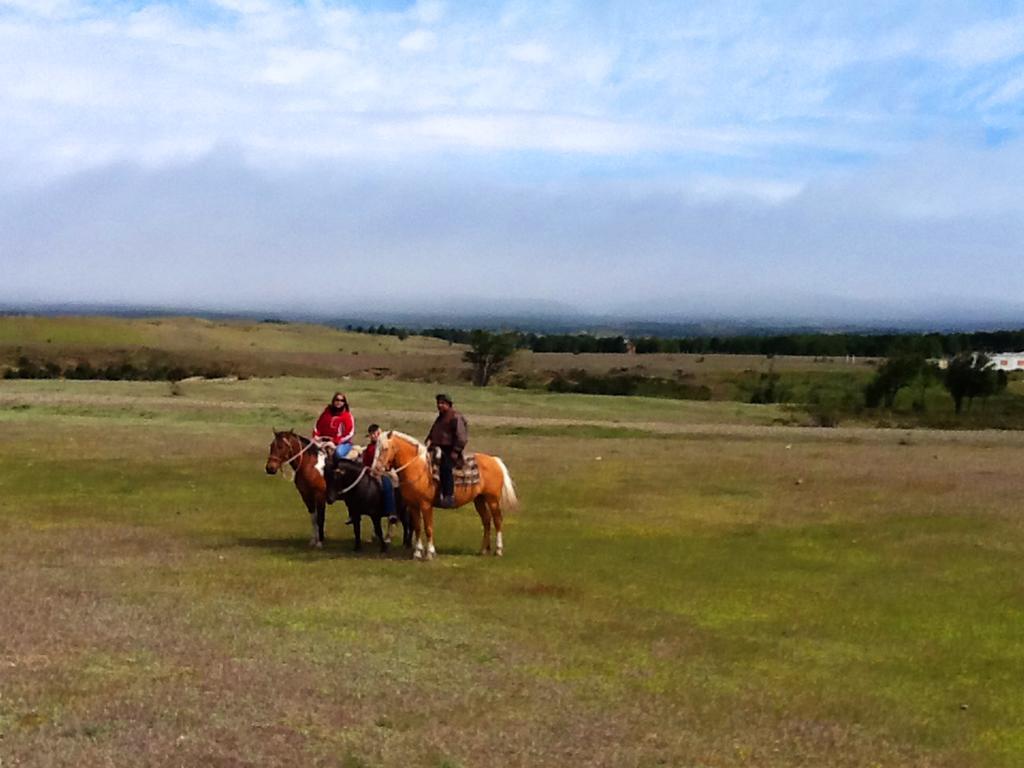 Estancia Rio De Los Ciervos Пунта-Аренас Экстерьер фото